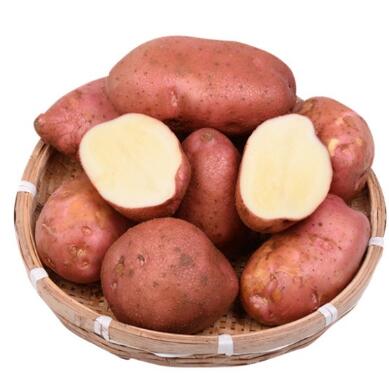 昌果紅土豆