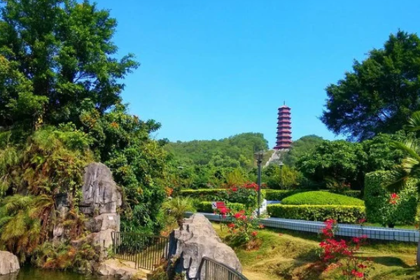深圳適合遛娃的十大公園排行榜
