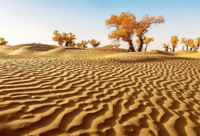 世界十大沙漠 撒哈拉位列第一，中國上榜兩個
