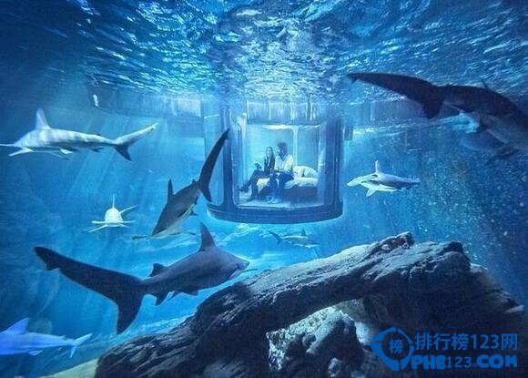 世界上最刺激的水下臥室：與鯊魚零距離同眠