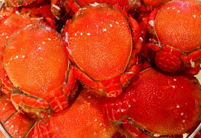世界十大頂級海鮮 台灣老虎蟹上榜，你流口水了嗎