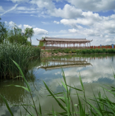 寧夏固原清水河國家濕地公園