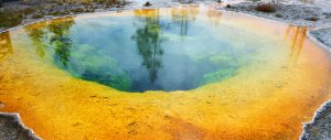 美國黃石國家公園旅遊攻略：火山口森林地熱溫泉，地球上的神奇樂園